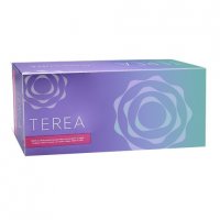 Heets TEREA Purple from Kazakhstan 10 cartons