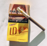 LD Impulse Compact Jungle cigarettes 10 cartons